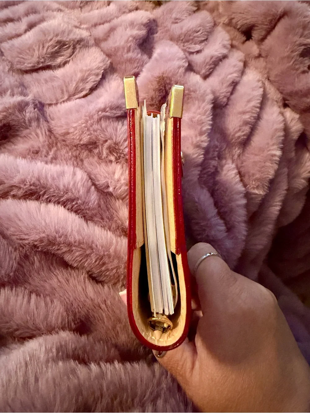 Louis Vuitton Multicolor Monogram Agenda PM Cover